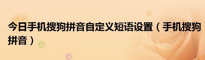 今日手机搜狗拼音自定义短语设置（手机搜狗拼音）