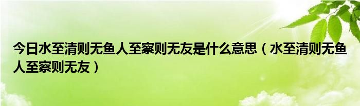 今日水至清则无鱼人至察则无友是什么意思（水至清则无鱼人至察则无友）