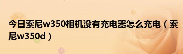 今日索尼w350相机没有充电器怎么充电（索尼w350d）