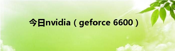 今日nvidia（geforce 6600）