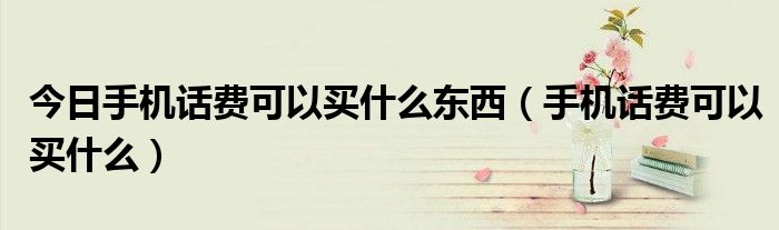 今日手机话费可以买什么东西（手机话费可以买什么）