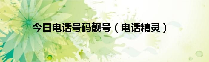 今日电话号码靓号（电话精灵）