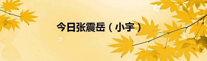 今日张震岳（小宇）