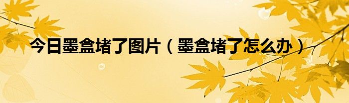 今日墨盒堵了图片（墨盒堵了怎么办）