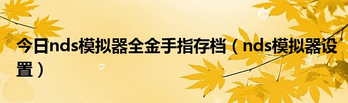 今日nds模拟器全金手指存档（nds模拟器设置）