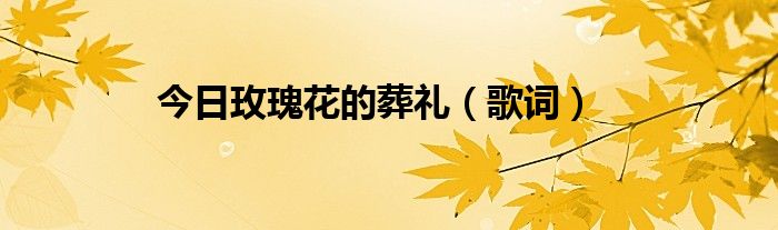 今日玫瑰花的葬礼（歌词）
