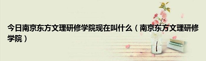 今日南京东方文理研修学院现在叫什么（南京东方文理研修学院）