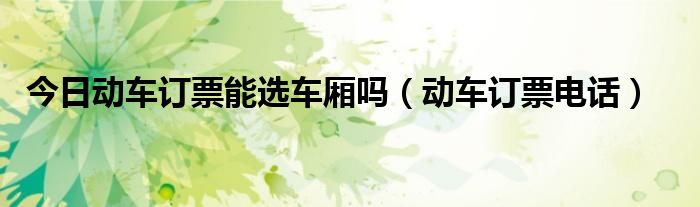 今日动车订票能选车厢吗（动车订票电话）