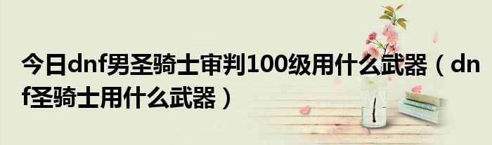 今日dnf男圣骑士审判100级用什么武器（dnf圣骑士用什么武器）