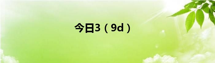 今日3（9d）