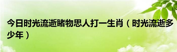 今日时光流逝睹物思人打一生肖（时光流逝多少年）