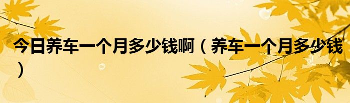 今日养车一个月多少钱啊（养车一个月多少钱）