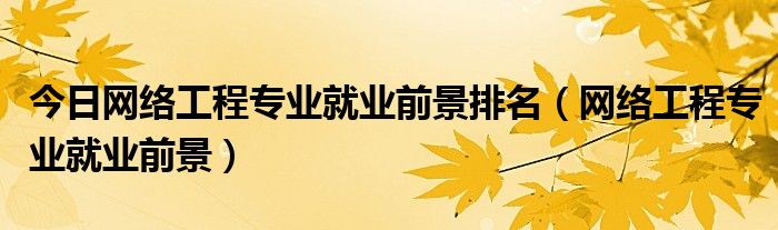 今日网络工程专业就业前景排名（网络工程专业就业前景）