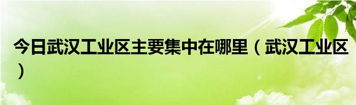 今日武汉工业区主要集中在哪里（武汉工业区）