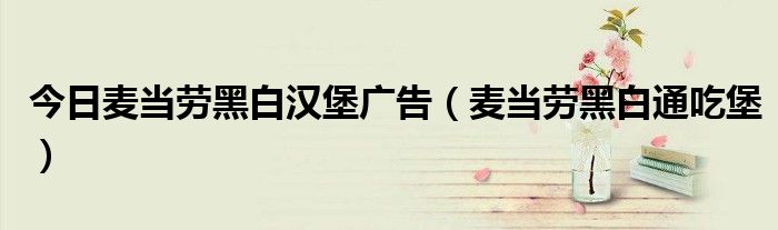 今日麦当劳黑白汉堡广告（麦当劳黑白通吃堡）