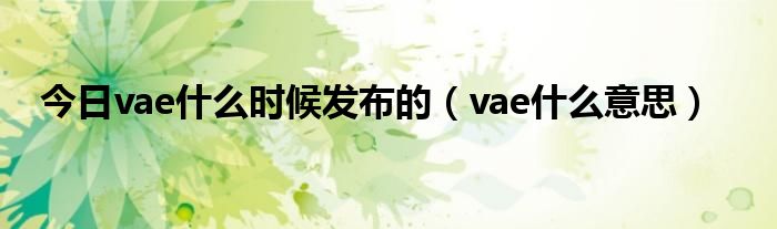今日vae什么时候发布的（vae什么意思）