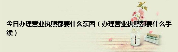 今日办理营业执照都要什么东西（办理营业执照都要什么手续）