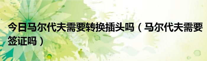 今日马尔代夫需要转换插头吗（马尔代夫需要签证吗）