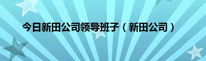 今日新田公司领导班子（新田公司）
