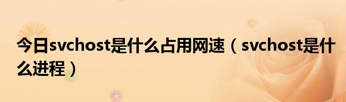 今日svchost是什么占用网速（svchost是什么进程）