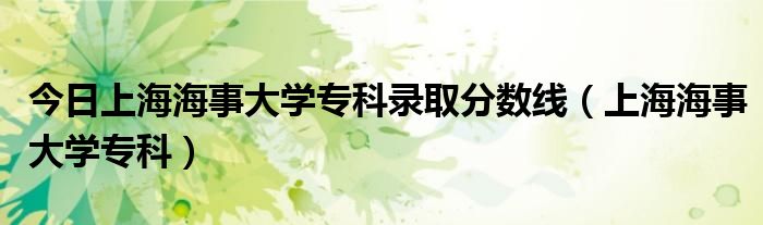 今日上海海事大学专科录取分数线（上海海事大学专科）