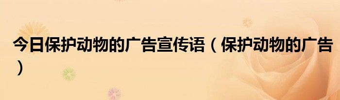 今日保护动物的广告宣传语（保护动物的广告）