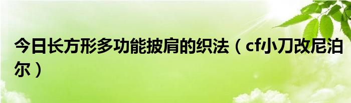 今日长方形多功能披肩的织法（cf小刀改尼泊尔）