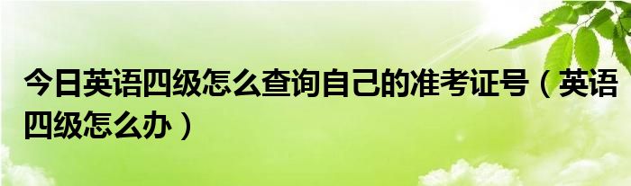 今日英语四级怎么查询自己的准考证号（英语四级怎么办）