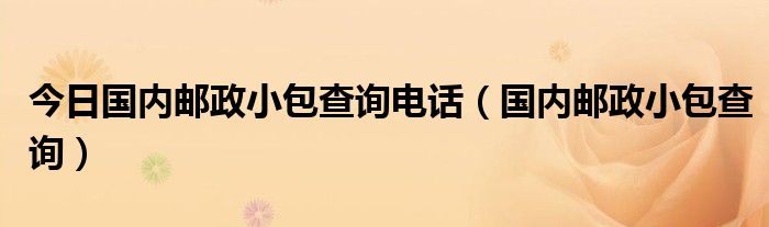 今日国内邮政小包查询电话（国内邮政小包查询）
