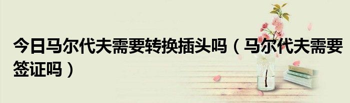 今日马尔代夫需要转换插头吗（马尔代夫需要签证吗）