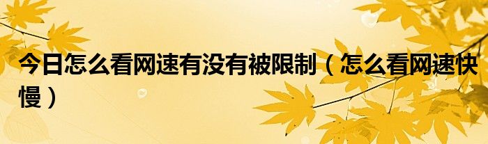 今日怎么看网速有没有被限制（怎么看网速快慢）