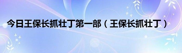 今日王保长抓壮丁第一部（王保长抓壮丁）