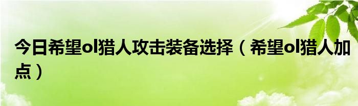 今日希望ol猎人攻击装备选择（希望ol猎人加点）