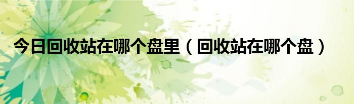 今日回收站在哪个盘里（回收站在哪个盘）
