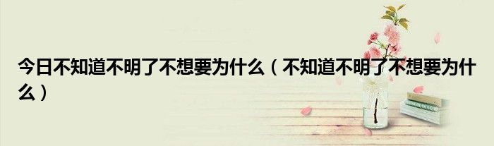 今日不知道不明了不想要为什么（不知道不明了不想要为什么）