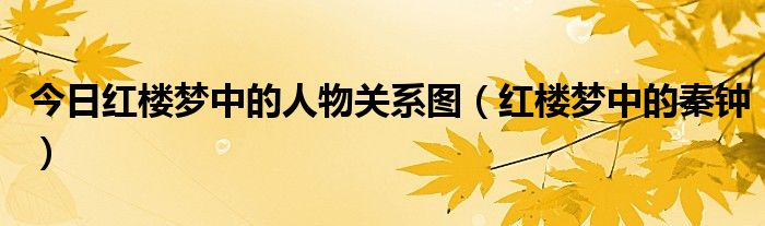 今日红楼梦中的人物关系图（红楼梦中的秦钟）
