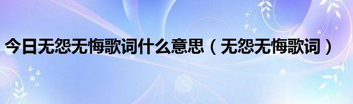 今日无怨无悔歌词什么意思（无怨无悔歌词）