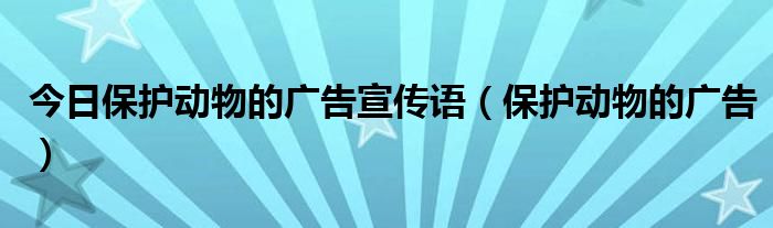 今日保护动物的广告宣传语（保护动物的广告）