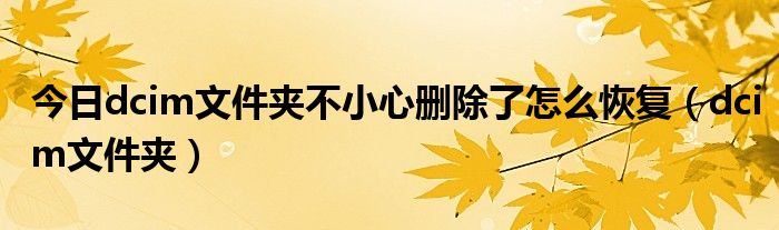 今日dcim文件夹不小心删除了怎么恢复（dcim文件夹）