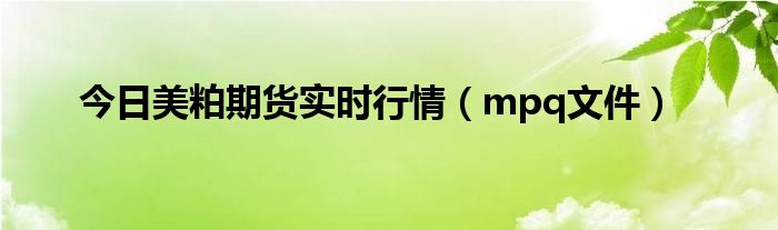 今日美粕期货实时行情（mpq文件）