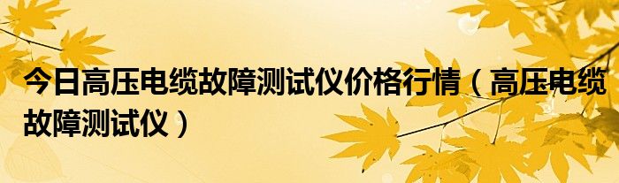 今日高压电缆故障测试仪价格行情（高压电缆故障测试仪）