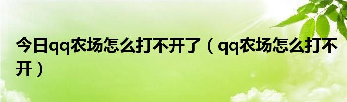 今日qq农场怎么打不开了（qq农场怎么打不开）