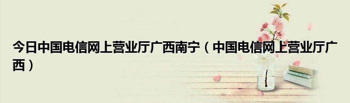 今日中国电信网上营业厅广西南宁（中国电信网上营业厅广西）