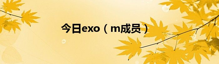 今日exo（m成员）
