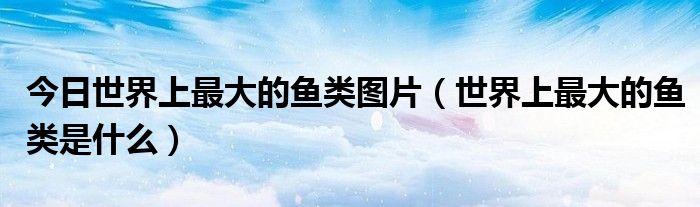 今日世界上最大的鱼类图片（世界上最大的鱼类是什么）