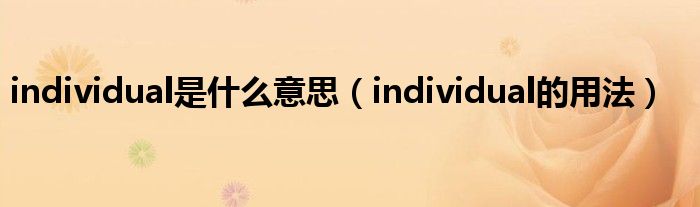 individual是什么意思（individual的用法）