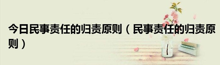 今日民事责任的归责原则（民事责任的归责原则）