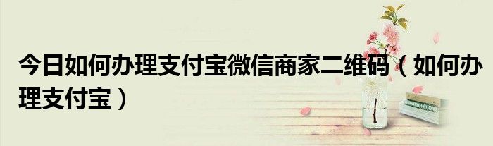 今日如何办理支付宝微信商家二维码（如何办理支付宝）