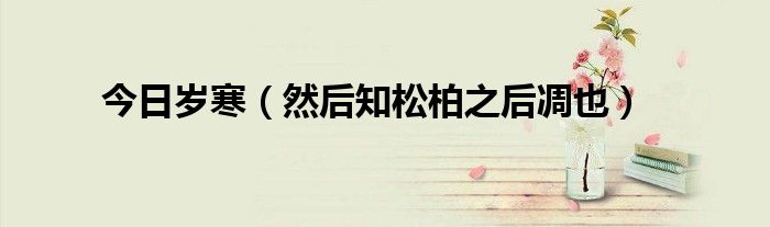 今日岁寒（然后知松柏之后凋也）