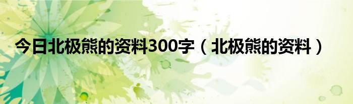 今日北极熊的资料300字（北极熊的资料）